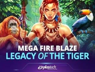 Mega Fire Blaze™_ Legacy Of The Tiger™ game screenshot